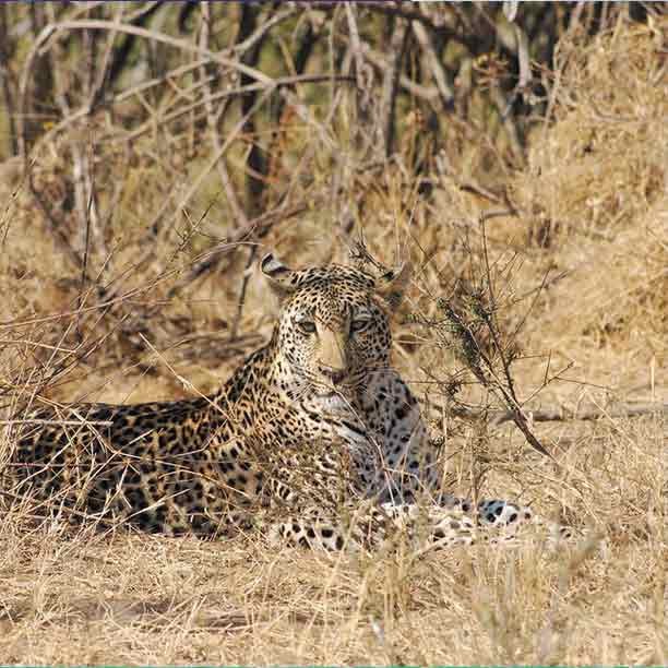 Best Tarangire National Park image 1