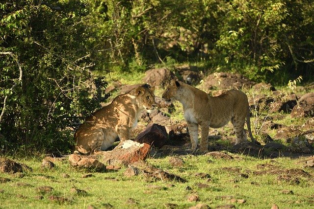 Queen Elizabeth National Park image 1
