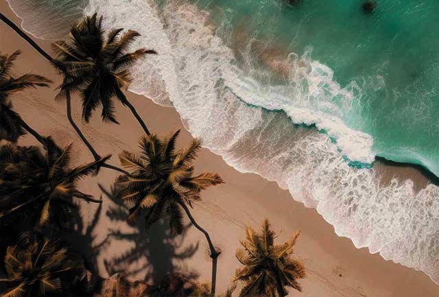 Best Zanzibar Safaris adventures image 1